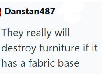 Danstan487 They really will destroy furniture if it has a fabric base