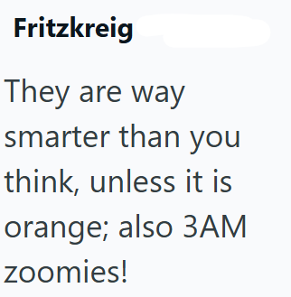 Fritzkreig They are way smarter than you think, unless it is orange; also 3AM zoomies!