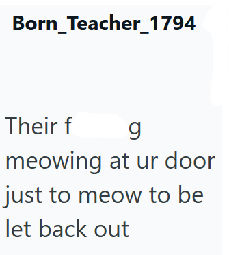 Born_Teacher_1794 Their f g meowing at ur door just to meow to be let back out