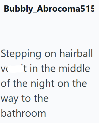 Bubbly Abrocoma515 Stepping on hairball v't in the middle of the night on the way to the bathroom