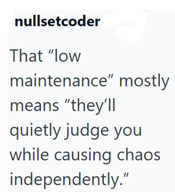 nullsetcoder That "low maintenance" mostly means "they'll quietly judge you while causing chaos independently."