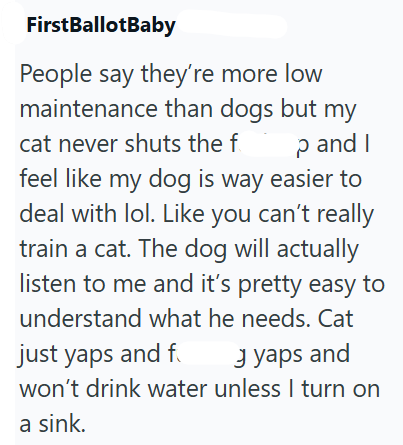FirstBallotBaby People say they're more low maintenance than dogs but my cat never shuts the f p and I feel like my dog is way easier to deal with lol. Like you can't really train a cat. The dog will actually listen to me and it's pretty easy to understand what he needs. Cat just yaps and f Jyaps and won't drink water unless I turn on a sink.