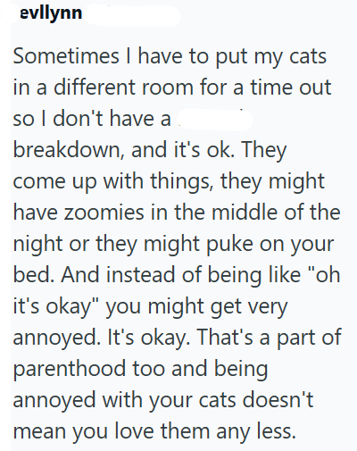 evllynn Sometimes I have to put my cats in a different room for a time out so I don't have a breakdown, and it's ok. They come up with things, they might have zoomies in the middle of the night or they might puke on your bed. And instead of being like "oh it's okay" you might get very annoyed. It's okay. That's a part of parenthood too and being annoyed with your cats doesn't mean you love them any less.