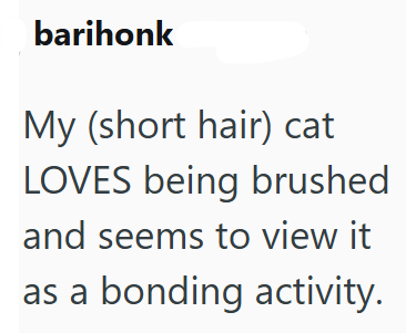 barihonk My (short hair) cat LOVES being brushed and seems to view it as a bonding activity.