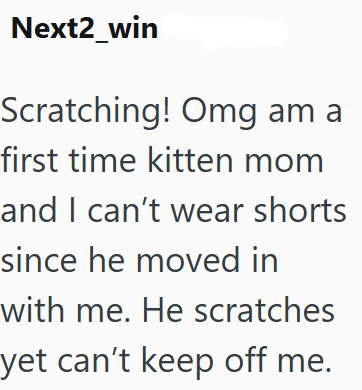 Next2_win Scratching! Omg am a first time kitten mom and I can't wear shorts since he moved in with me. He scratches yet can't keep off me.