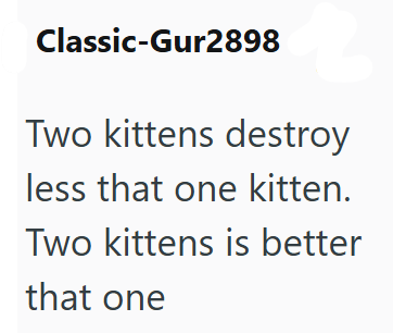 Classic-Gur2898 Two kittens destroy less that one kitten. Two kittens is better that one