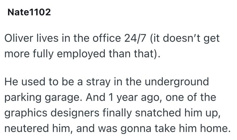 Nate1102 Oliver lives in the office 24/7 (it doesn't get more fully employed than that). He used to be a stray in the underground parking garage. And 1 year ago, one of the graphics designers finally snatched him up, neutered him, and was gonna take him home.