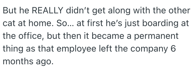But he REALLY didn't get along with the other cat at home. So... at first he's just boarding at the office, but then it became a permanent thing as that employee left the company 6 months ago.