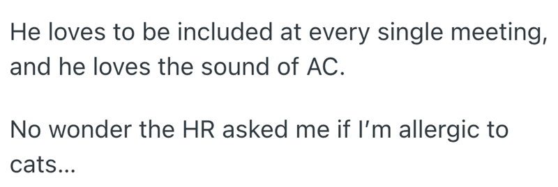 He loves to be included at every single meeting, and he loves the sound of AC. No wonder the HR asked me if I'm allergic to cats...