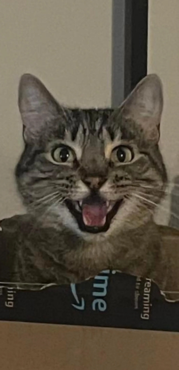 reaming d to show ime S ing
