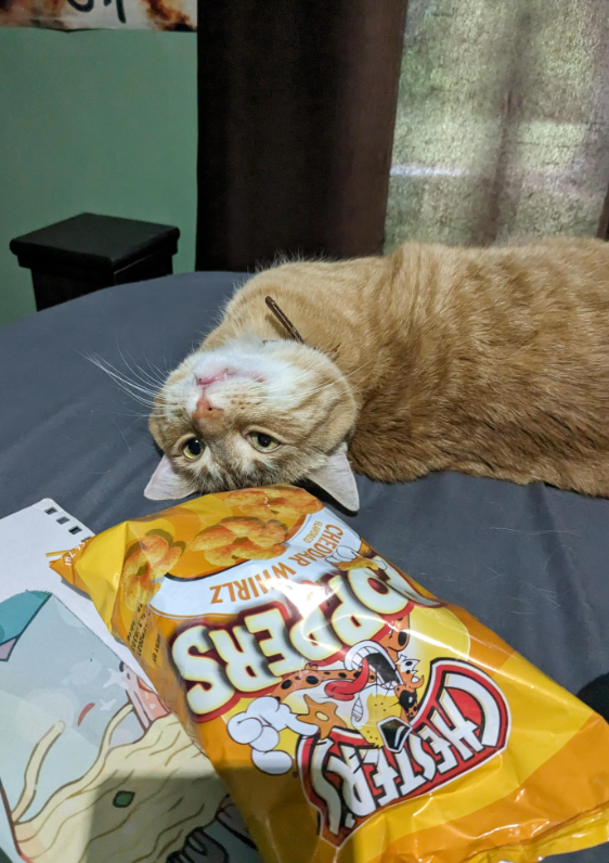 OPPERS HEDDAR WIRLZ FLAVORED