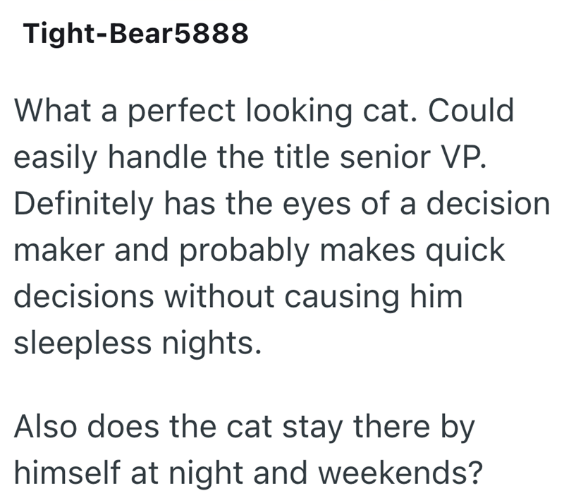 Tight-Bear5888 What a perfect looking cat. Could easily handle the title senior VP. Definitely has the eyes of a decision maker and probably makes quick decisions without causing him sleepless nights. Also does the cat stay there by himself at night and weekends?
