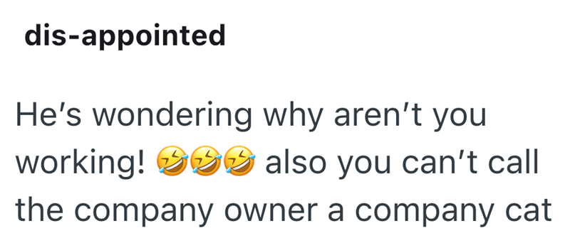 dis-appointed He's wondering why aren't you working! also you can't call the company owner a company cat