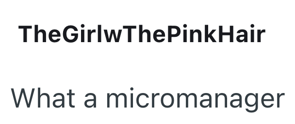 TheGirlwThePinkHair What a micromanager