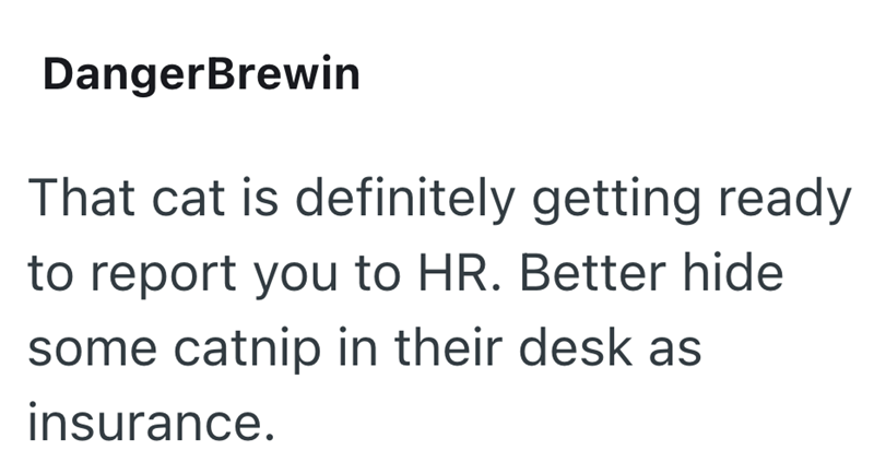 DangerBrewin That cat is definitely getting ready to report you to HR. Better hide some catnip in their desk as insurance.