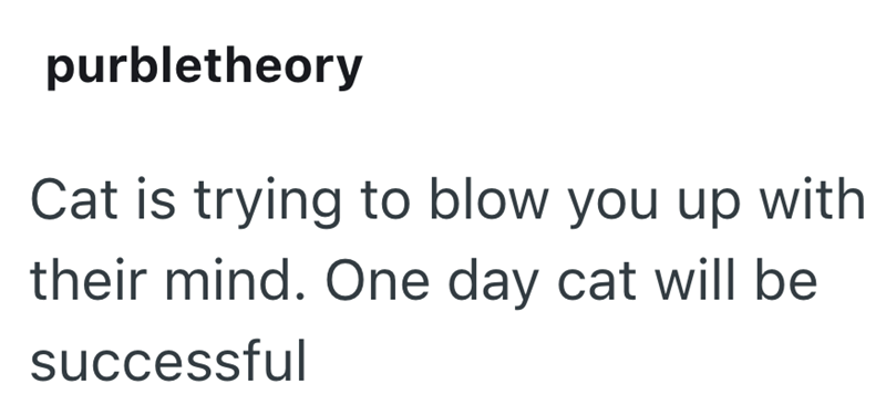 purbletheory Cat is trying to blow you up with their mind. One day cat will be successful