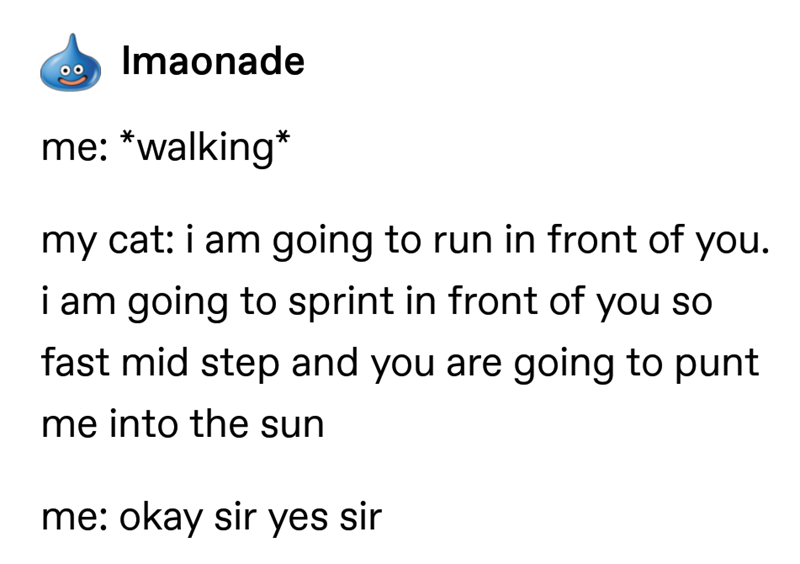 Imaonade me: *walking* my cat: i am going to run in front of you. i am going to sprint in front of you so fast mid step and you are going to punt me into the sun me: okay sir yes sir