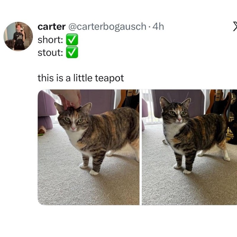 carter @carterbogausch. 4h short: stout: this is a little teapot