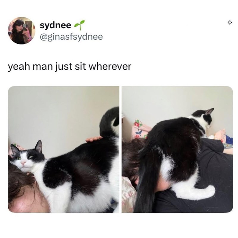 sydnee @ginasfsydnee yeah man just sit wherever D