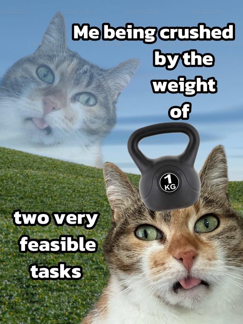 Me being crushed by the weight of two very feasible tasks 1 KG