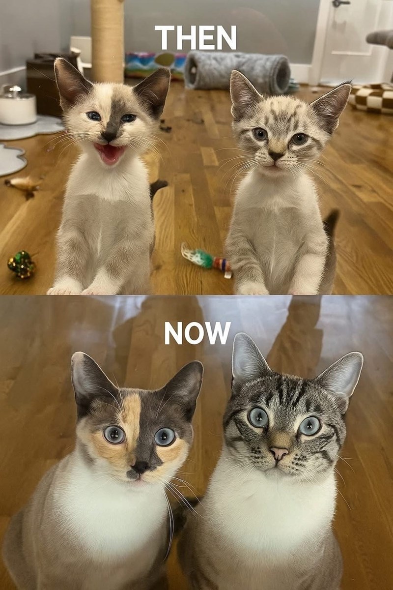 THEN NOW