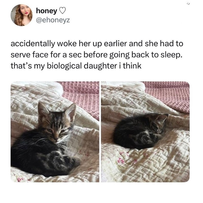 honey♡ @ehoneyz accidentally woke her up earlier and she had to serve face for a sec before going back to sleep. that's my biological daughter i think