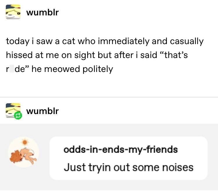 wumblr today i saw a cat who immediately and casually hissed at me on sight but after i said "that's r de" he meowed politely wumblr odds-in-ends-my-friends Just tryin out some noises