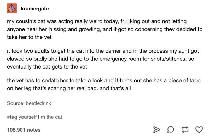 kramergate my cousin's cat was acting really weird today, fr king out and not letting anyone near her, hissing and growling, and it got so concerning they decided to take her to the vet it took two adults to get the cat into the carrier and in the process my aunt got clawed so badly she had to go to the emergency room for shots/stitches, so eventually the cat gets to the vet the vet has to sedate her to take a look and it turns out she has a piece of tape on her leg that's scaring her real bad.