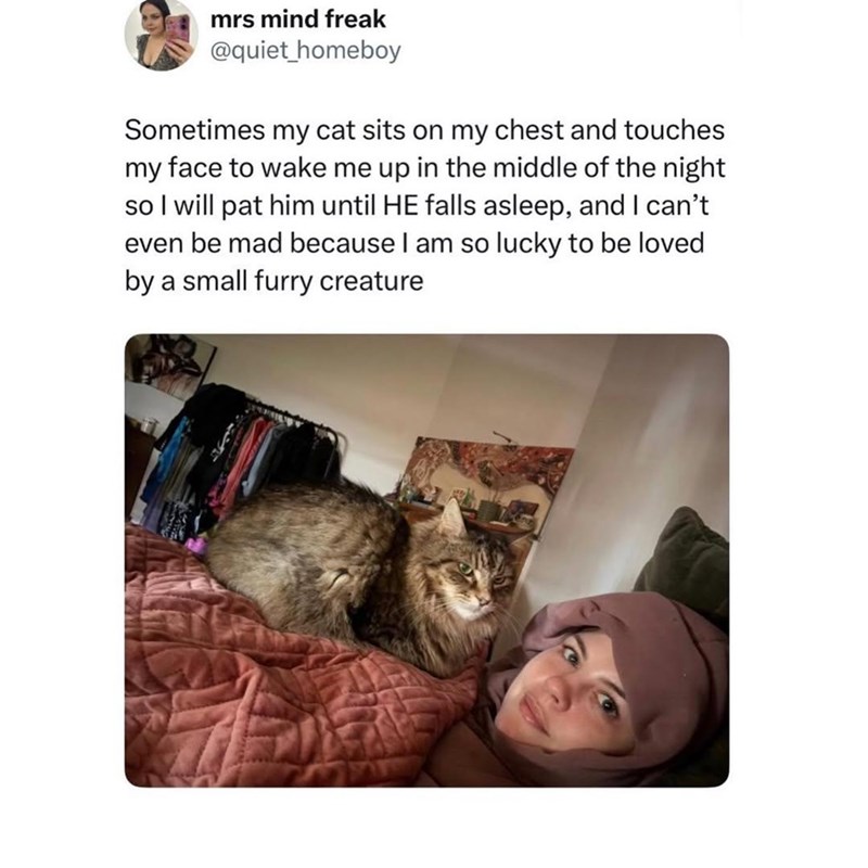 mrs mind freak @quiet_homeboy Sometimes my cat sits on my chest and touches my face to wake me up in the middle of the night so I will pat him until HE falls asleep, and I can't even be mad because I am so lucky to be loved by a small furry creature