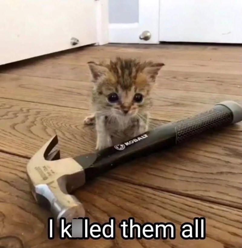 KOBALT Ik led them all