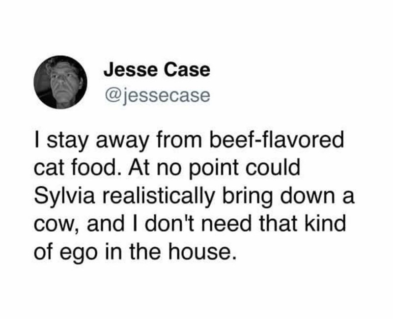 Jesse Case @jessecase I stay away from beef-flavored cat food. At no point could Sylvia realistically bring down a cow, and I don't need that kind of ego in the house.