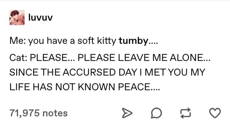 luvuv Me: you have a soft kitty tumby.... Cat: PLEASE... PLEASE LEAVE ME ALONE... SINCE THE ACCURSED DAY I MET YOU MY LIFE HAS NOT KNOWN PEACE.... 71,975 notes > D