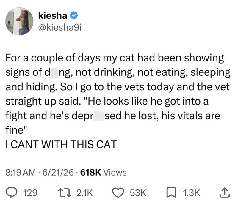 kiesha @kiesha9i For a couple of days my cat had been showing signs of dong, not drinking, not eating, sleeping and hiding. So I go to the vets today and the vet straight up said. "He looks like he got into a fight and he's depr sed he lost, his vitals are fine" I CANT WITH THIS CAT 8:19 AM 6/21/26 618K Views 129 12.1K 53K ☐ 1.3K ↑