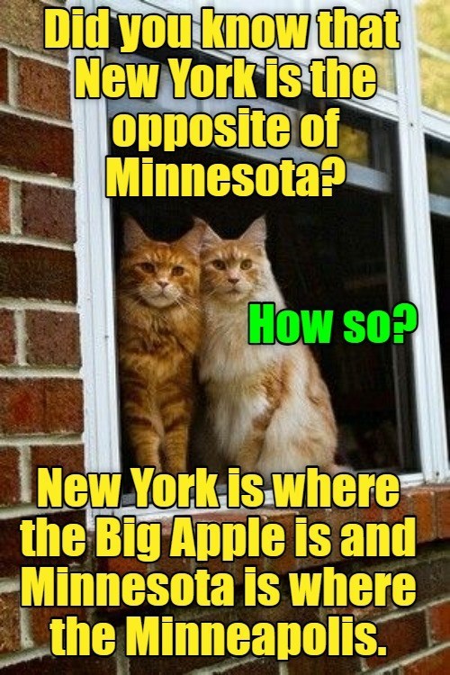Cheezburger Image 10642809088