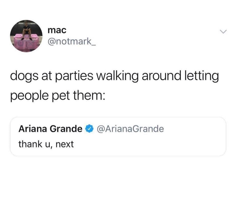 mac @notmark_ dogs at parties walking around letting people pet them: Ariana Grande @Ariana Grande @ArianaGrande thank u, next