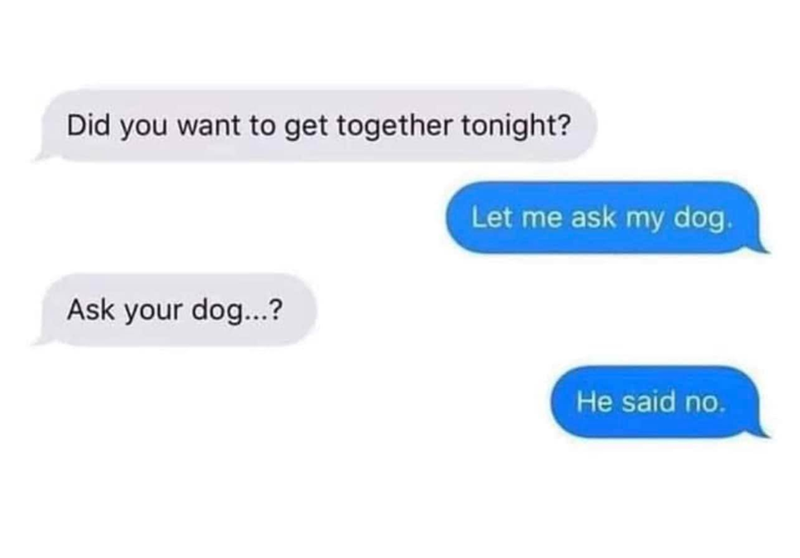 Did you want to get together tonight? Let me ask my dog. Ask your dog...? He said no.