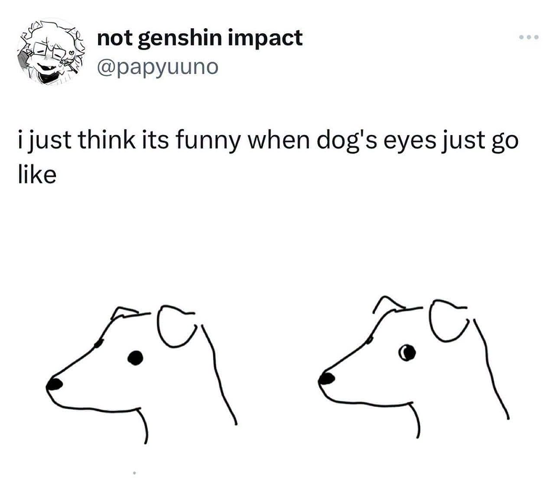 not genshin impact @papyuuno i just think its funny when dog's eyes just go like 600