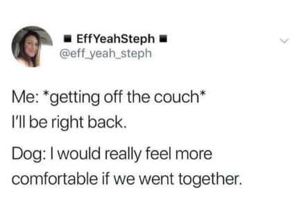 Eff YeahSteph■ @eff_yeah_steph Me: *getting off the couch* I'll be right back. Dog: I would really feel more comfortable if we went together. <