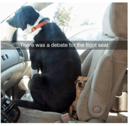 DJ There was a debate for the front seat to
