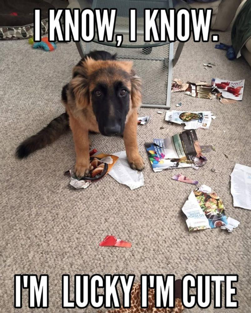 I KNOW, I KNOW. 7 NOW I'M LUCKY I'M CUTE nd