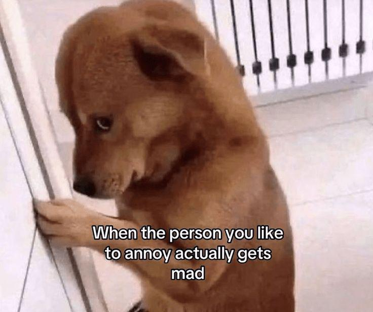 When the person you like to annoy actually gets mad