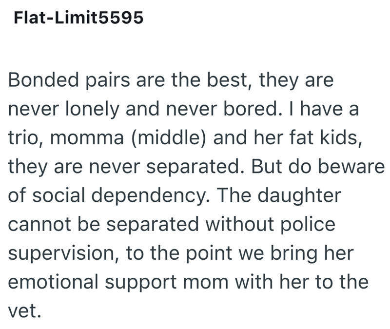 Flat-Limit5595 Bonded pairs are the best, they are never lonely and never bored. I have a trio, momma (middle) and her fat kids, they are never separated. But do beware of social dependency. The daughter cannot be separated without police supervision, to the point we bring her emotional support mom with her to the vet.