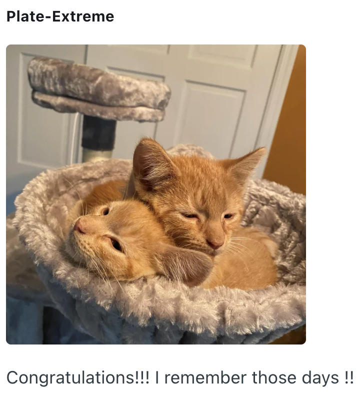 Plate-Extreme Congratulations!!! I remember those days!!