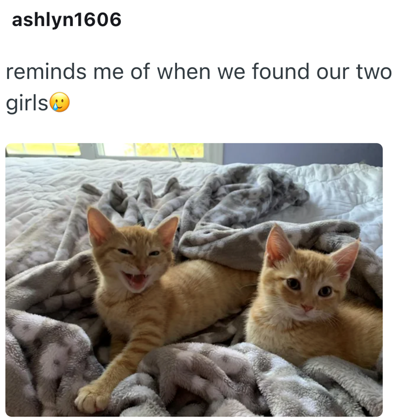 ashlyn1606 reminds me of when we found our two girls