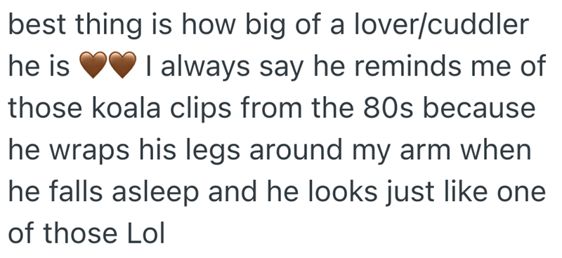 best thing is how big of a lover/cuddler he is I always say he reminds me of those koala clips from the 80s because he wraps his legs around my arm when he falls asleep and he looks just like one of those Lol