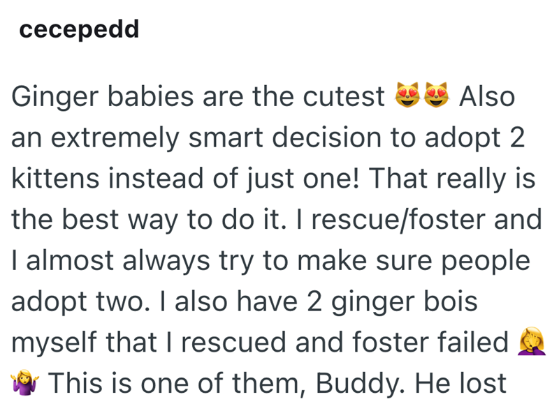 cecepedd Ginger babies are the cutest ☑Also an extremely smart decision to adopt 2 kittens instead of just one! That really is the best way to do it. I rescue/foster and I almost always try to make sure people adopt two. I also have 2 ginger bois myself that I rescued and foster failed. This is one of them, Buddy. He lost