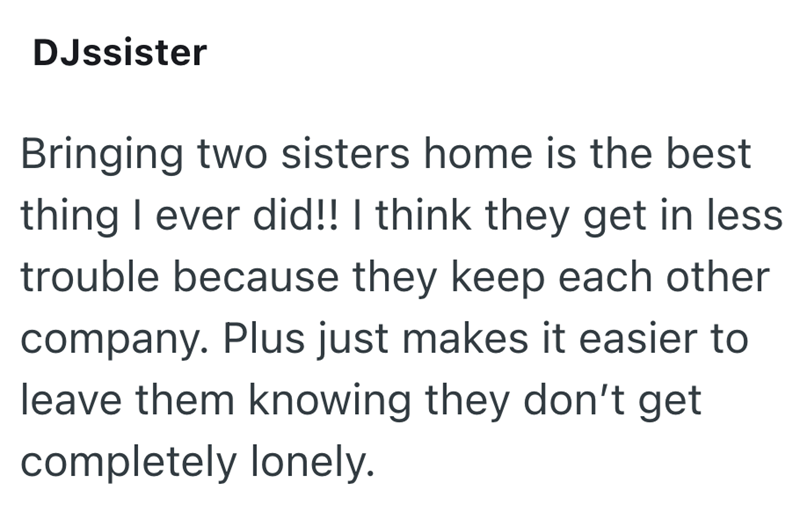 DJssister Bringing two sisters home is the best thing I ever did!! I think they get in less trouble because they keep each other company. Plus just makes it easier to leave them knowing they don't get completely lonely.