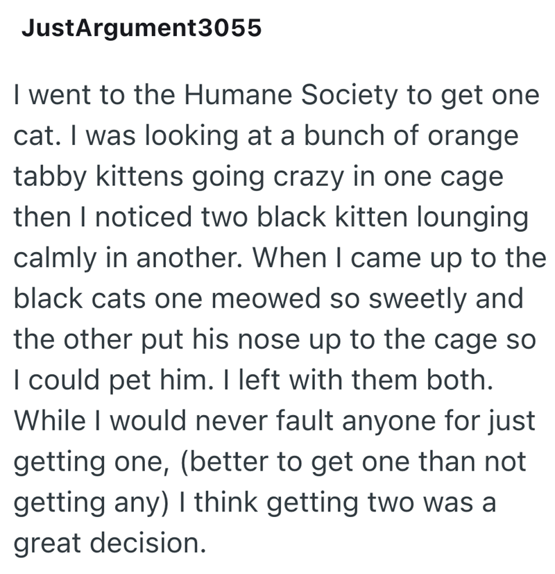 JustArgument3055 I went to the Humane Society to get one cat. I was looking at a bunch of orange tabby kittens going crazy in one cage then I noticed two black kitten lounging calmly in another. When I came up to the black cats one meowed so sweetly and the other put his nose up to the cage so I could pet him. I left with them both. While I would never fault anyone for just getting one, (better to get one than not getting any) I think getting two was a great decision.