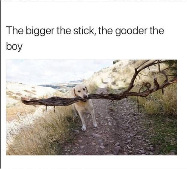 The bigger the stick, the gooder the boy