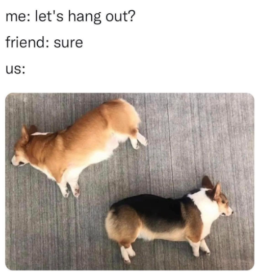 me: let's hang out? friend: sure us: